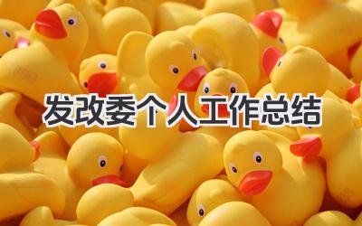 发改委个人工作总结 发展改革委个人工作总结​