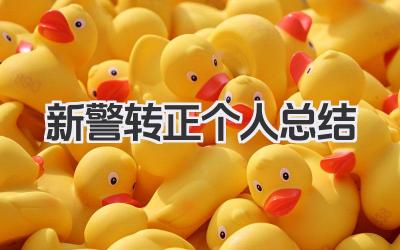 新警转正个人总结 新警察转正工作总结
