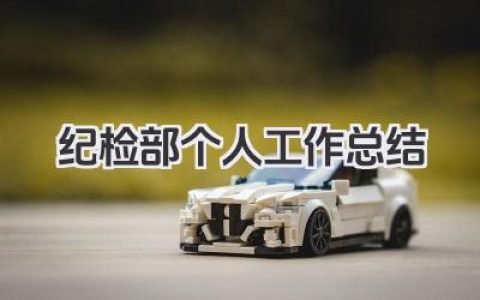纪检部个人工作总结 纪检部个人工作小结​