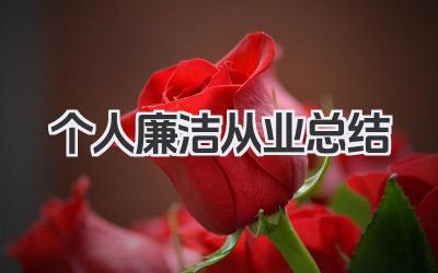 个人廉洁从业总结 个人廉洁从业回顾​