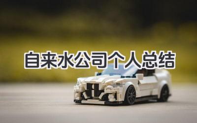 自来水公司个人总结 自来水公司个人工作小结​