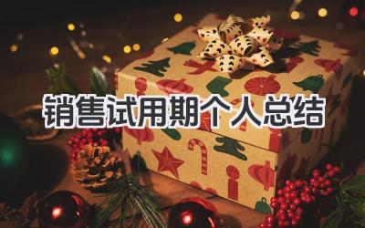 销售试用期个人总结 销售试用期工作小结​