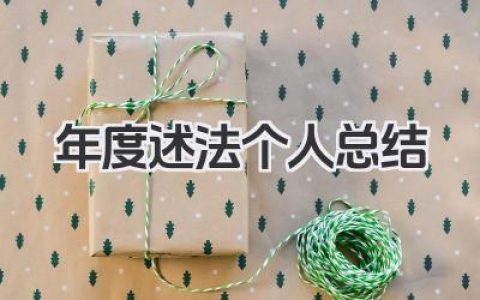 年度述法个人总结 年度述法工作小结​