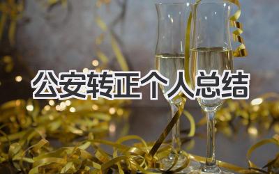 公安转正个人总结 公安转正工作小结​