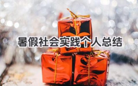 暑假社会实践个人总结 大学生暑假社会实践个人总结​