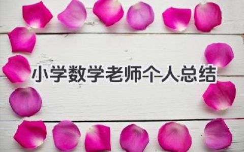 小学数学老师个人总结 小学数学教师个人工作总结​