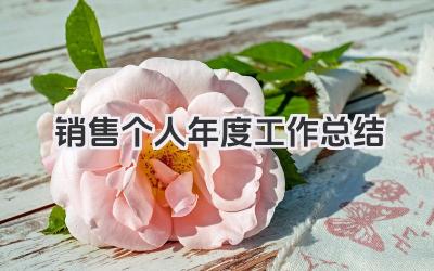 销售个人年度工作总结 销售岗位个人年度工作业绩总结