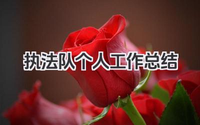 执法队个人工作总结 执法队工作回顾