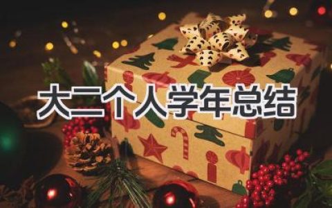 大二个人学年总结 大二学年个人总结