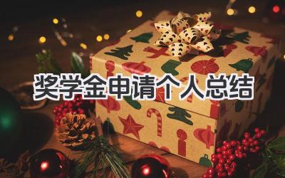 奖学金申请个人总结 奖学金申请个人小结
