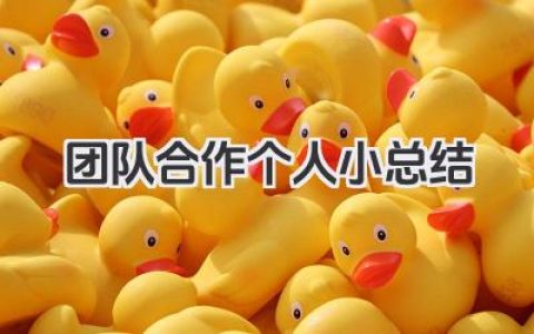 团队合作个人小总结 个人团队合作小结​