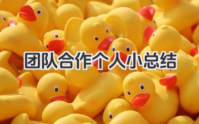 团队合作个人小总结 个人团队合作小结