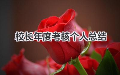 校长年度考核个人总结 校长年度考核个人工作汇报总结​