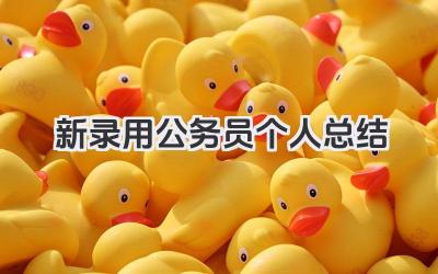 新录用公务员个人总结 新录用公务员个人工作适应总结