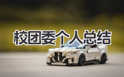 校团委个人总结 校团委成员个人工作与思想总结