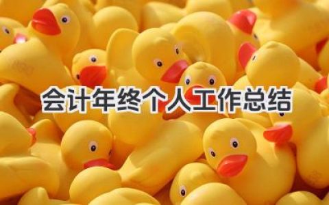 会计年终个人工作总结 会计人员年终个人工作梳理总结​