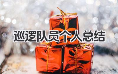 巡逻队员个人总结 巡逻队员工作总结