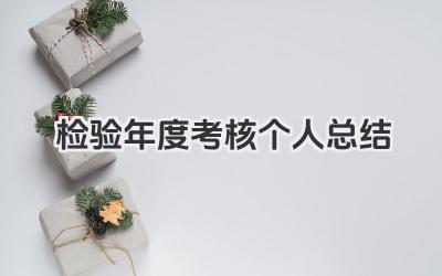 检验年度考核个人总结 检验年度考评个人总结
