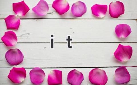 it 行业个人工作总结 IT 行业从业人员个人工作内容总结​