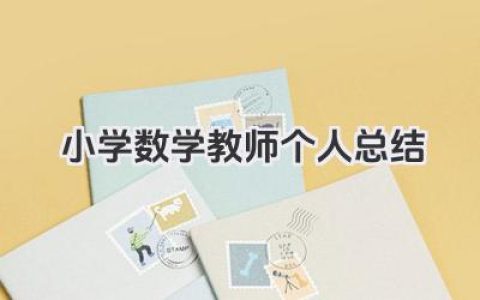 小学数学教师个人总结 小学数学教师工作回顾​