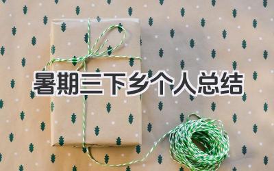 暑期三下乡个人总结 暑期三下乡活动回顾