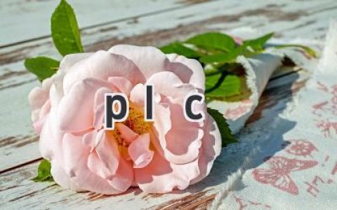 plc 实训个人总结 plc 实训总结​