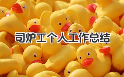 司炉工个人工作总结 司炉工工作个人总结​