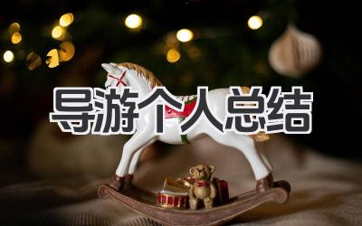 导游个人总结 导游工作个人总结​