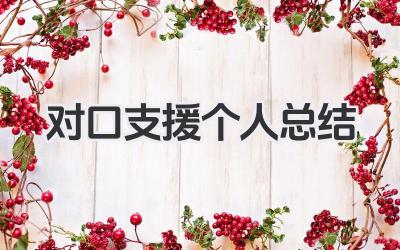 对口支援个人总结 对口支援工作个人总结​