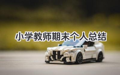 小学教师期末个人总结 小学教师期末教学个人总结