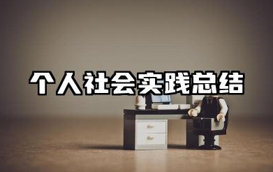 个人社会实践总结范文 社会实践个人活动总结