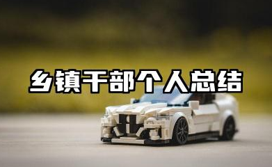 乡镇工作个人总结范文 乡镇干部个人总结