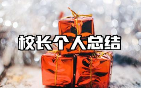 校长个人总结年度考核 校长个人年度工作总结