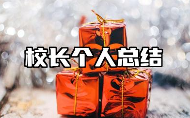 校长个人总结年度考核 校长个人年度工作总结