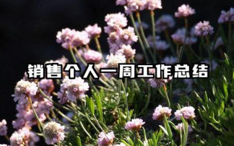 销售个人一周工作总结 销售人员个人周工作总结​