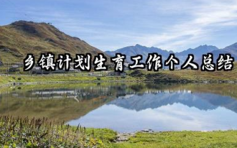 乡镇计生工作个人总结 乡镇计划生育工作个人总结​