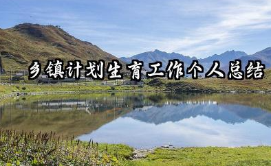 乡镇计生工作个人总结 乡镇计划生育工作个人总结​