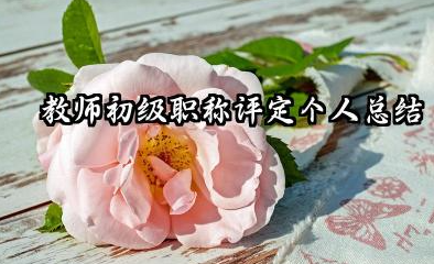 教师初级职称个人总结 教师初级职称评定个人总结​