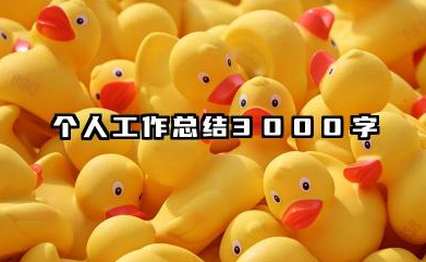 个人工作总结 3000 字 3000 字个人工作总结​