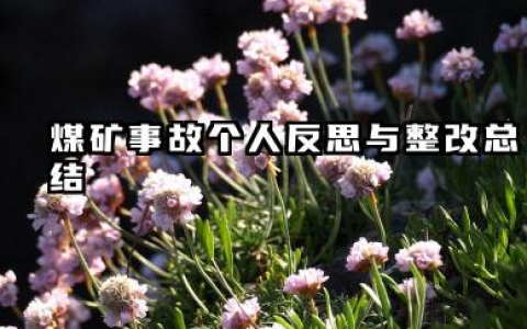 煤矿事故个人反思总结 煤矿事故个人反思与整改总结​
