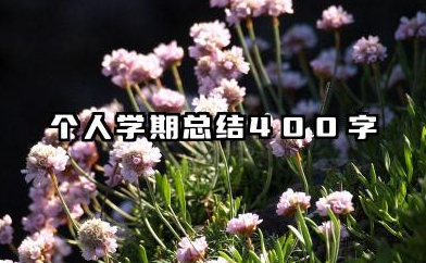 个人学期总结 400 字 400 字个人学期总结