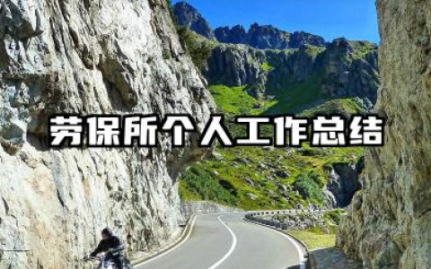 劳保所个人工作总结 劳保所个人工作小结​