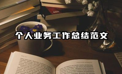 个人业务总结范文 个人业务工作总结范文