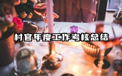 村官年度考核个人总结 村官年度工作考核总结