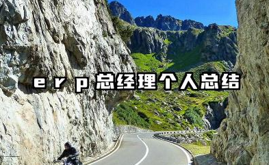 erp总经理个人总结 ERP总经理工作个人总结