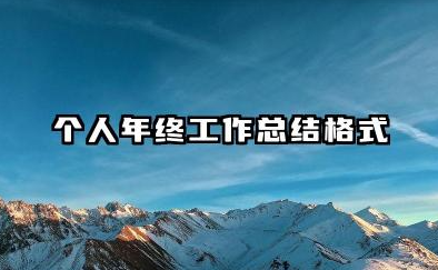 年终个人工作总结格式 个人年终工作总结格式