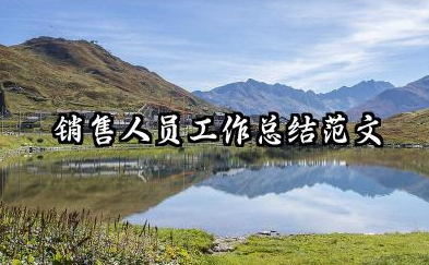 销售个人工作总结范文 销售人员工作总结范文