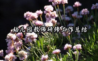 幼儿园教师研修个人总结 幼儿园教师研修工作总结