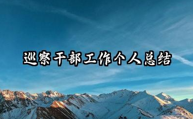 巡察干部个人工作总结 巡察干部工作个人总结