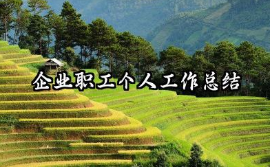 企业员工个人工作总结 企业职工个人工作总结